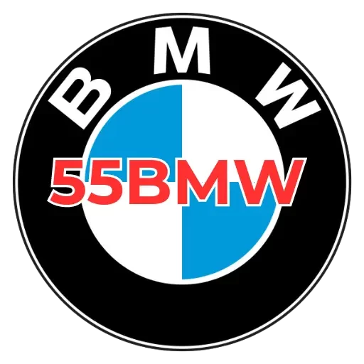 55bmw vip